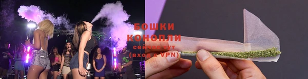 скорость Вяземский