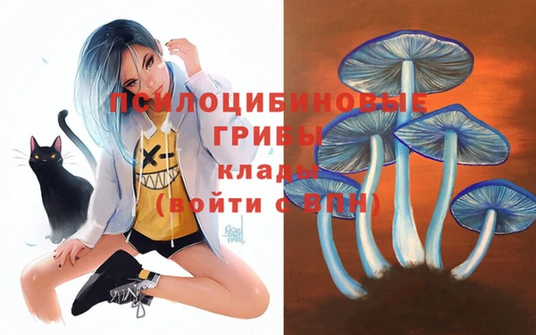 крисы Лиски