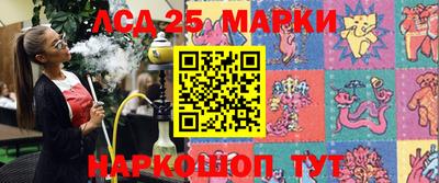 шишки Берёзовский