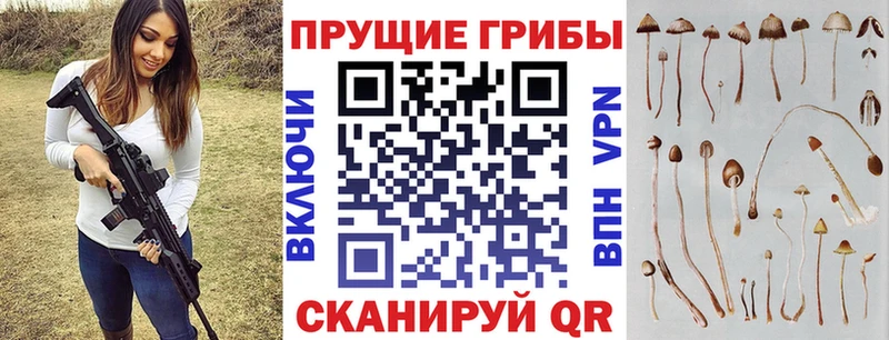 МЕГА зеркало  Лыткарино  Галлюциногенные грибы ЛСД 