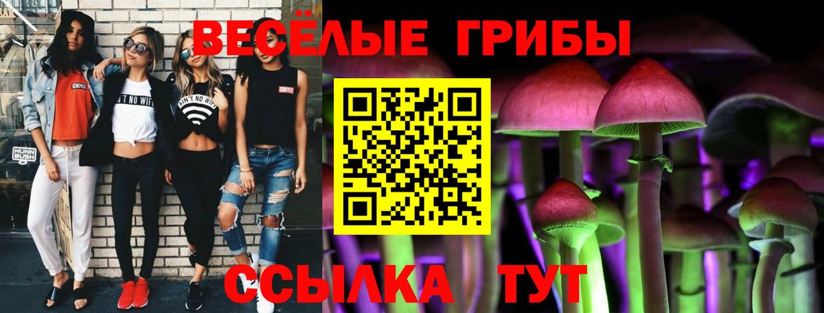 Лыткарино  Галлюциногенные грибы GOLDEN TEACHER  Галлюциногенные грибы Magic Shrooms  Вход с VPN 